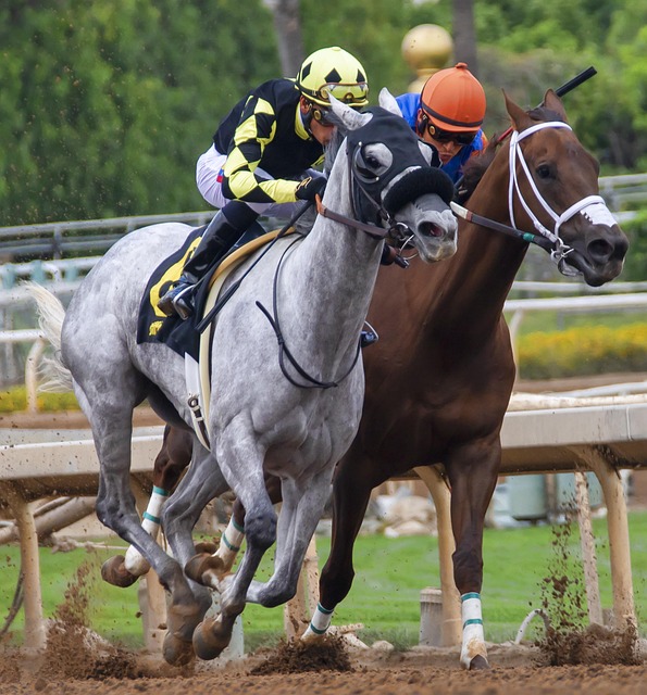 评论员查尔 评论员查尔