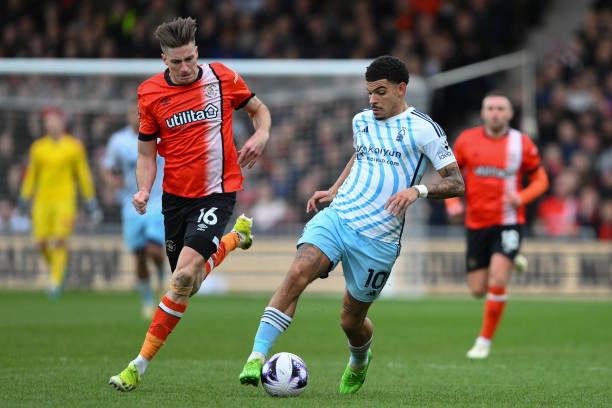 回顾近年来 回顾近年来